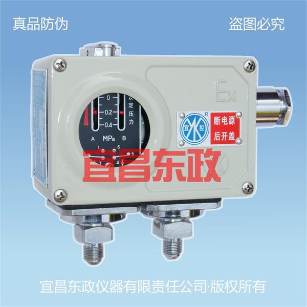 E2L系列雙開(kāi)關(guān)型差壓控制器